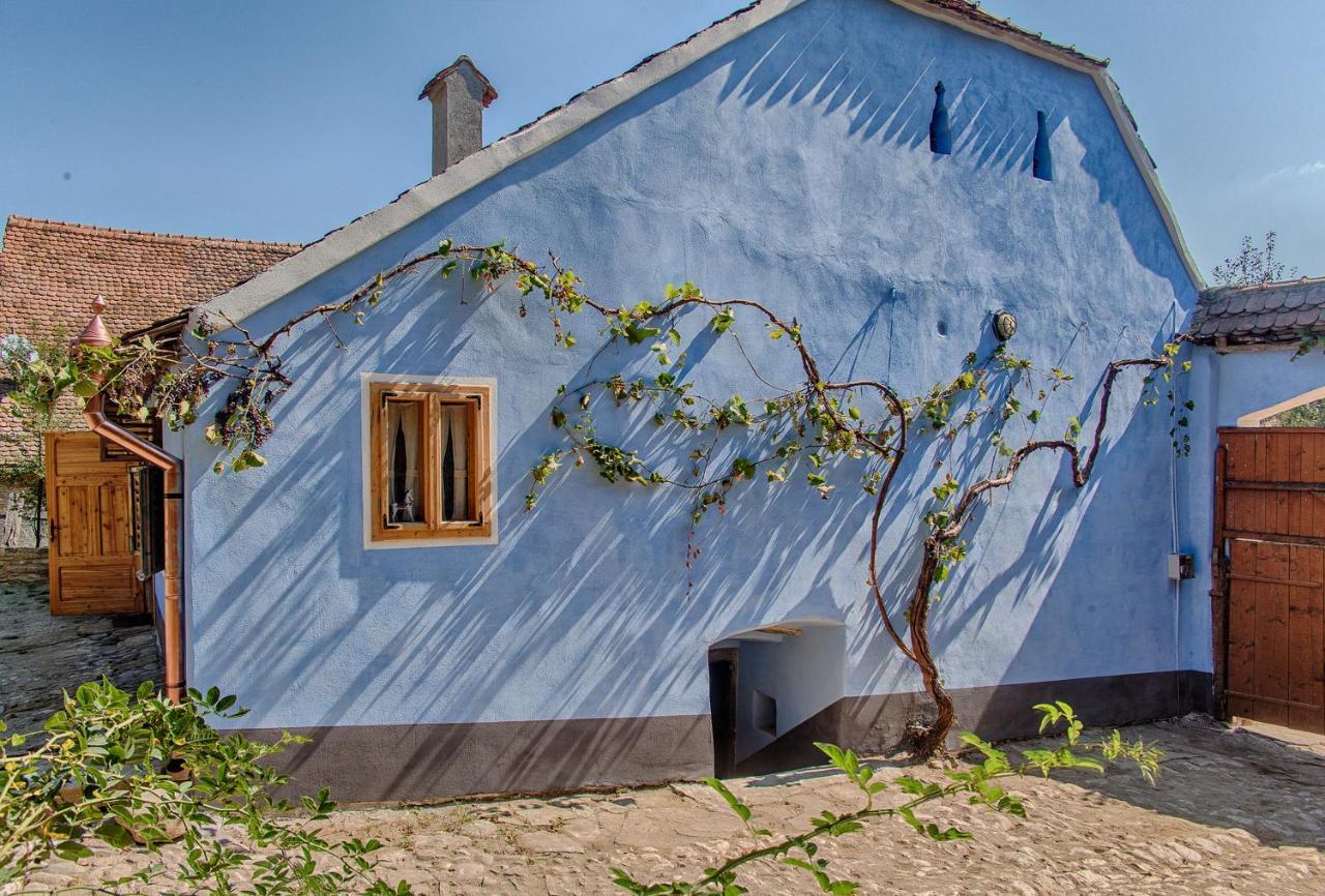 Hotel Viscri 32 - White Barn And Blue House Zewnętrze zdjęcie