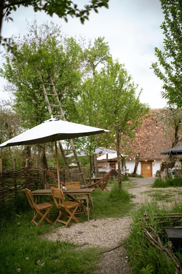 Hotel Viscri 32 - White Barn And Blue House Zewnętrze zdjęcie